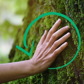 sustainability