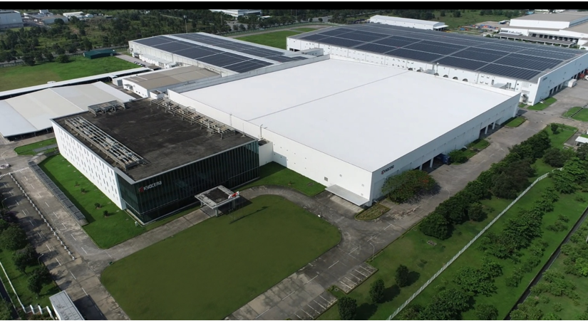 Vietnam plant Vietnam plant