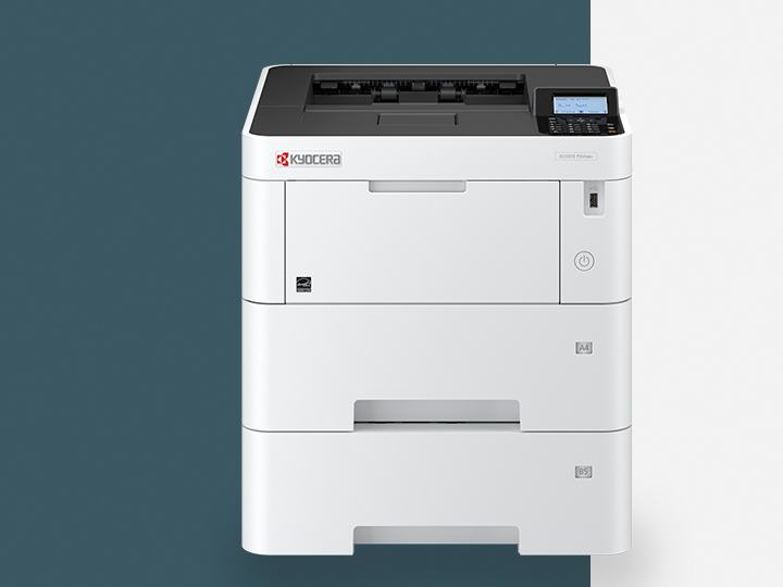 Ecosys Printer